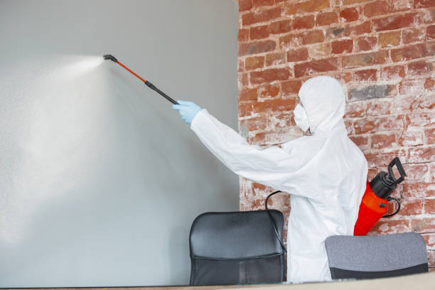 Elkhart, KS Mold Removal Company