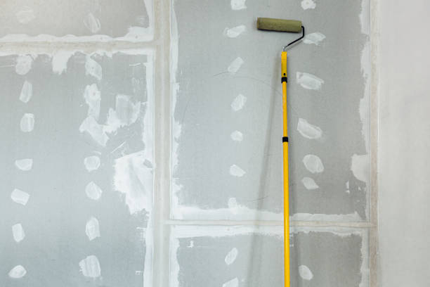 Best Asbestos and Lead Testing During Mold Inspection  in Elkhart, KS