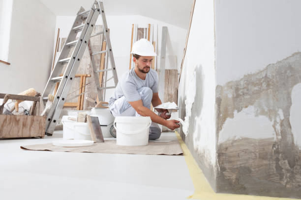 Best Post-Construction Mold Inspection  in Elkhart, KS