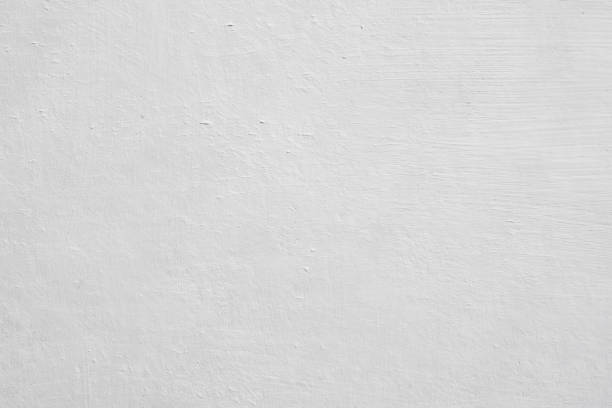 Best Mold Removal for HVAC Installations  in Elkhart, KS