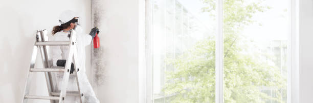 Best HVAC Mold Inspection and Cleaning  in Elkhart, KS